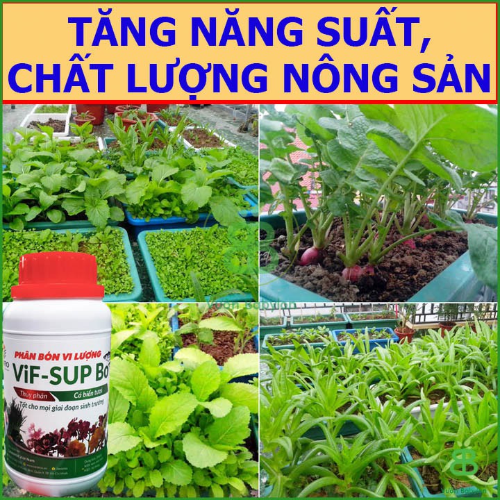 Phân Đạm Cá Hữu Cơ Vi-Sup Bo Chai 250ml - Giàu Đạm và Vi lượng Hữu cơ