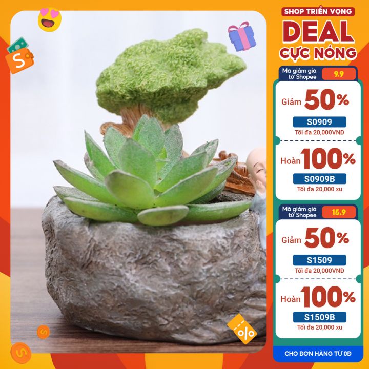 Chậu trồng sen đá decor mini, chậu sen hình chú tiểu bằng sứ giả đá