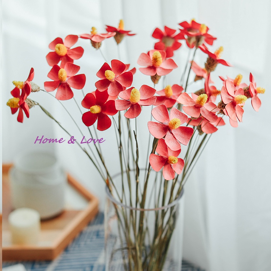Hoa cánh bướm - gỗ khô - decor trang trí, phụ kiện chụp ảnh