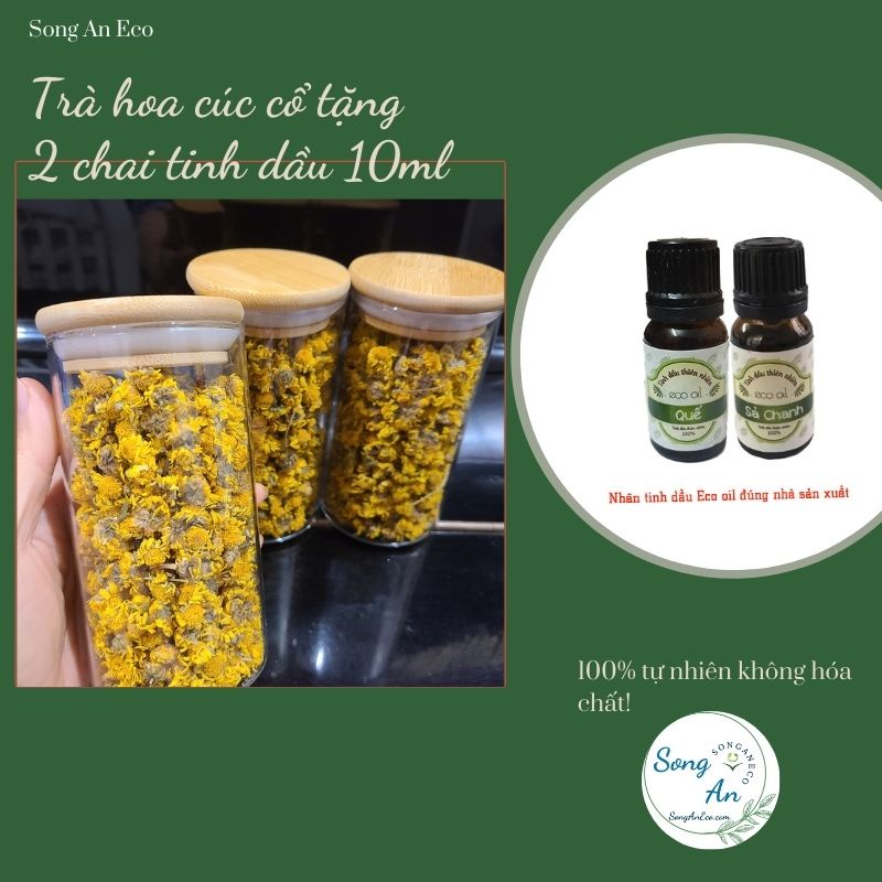 {KÈM QUÀ TẶNG} Trà hoa cúc cổ (Cúc cổ trà) Trang trại Song An Eco