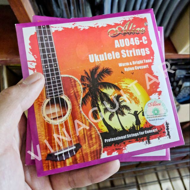 Dây đàn ukulele Alice AU046 🤝 dây đàn ukulele tốt 🤝 dây đàn ukulele soprano 🤝 dây đàn ukulele concert tenor âm cực hay