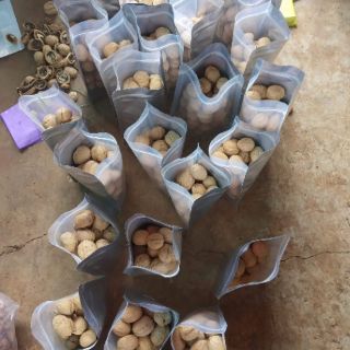 Hạt óc chó Daklak1kg