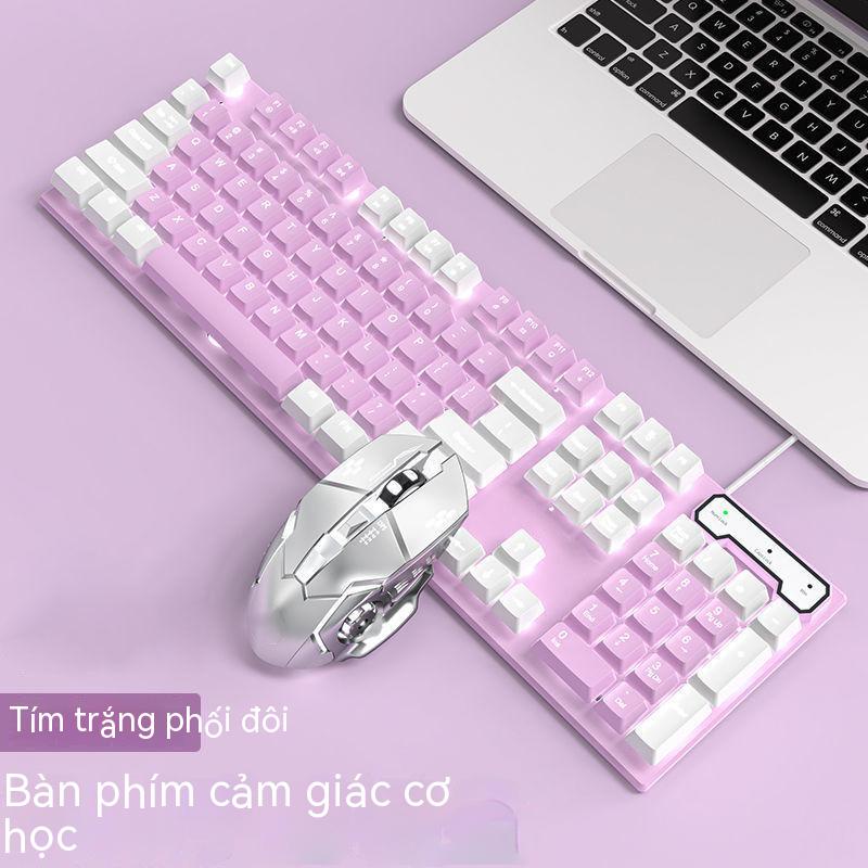 Bộ Bàn Phím Cơ Và Chuột Chơi Game Có Dây Không Gây Tiếng Ồn Cho Máy Tính