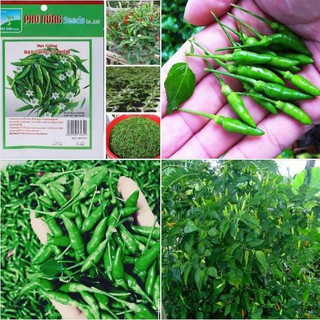 Hạt giống ớt xiêm phú nông - 1 gói 0,2g