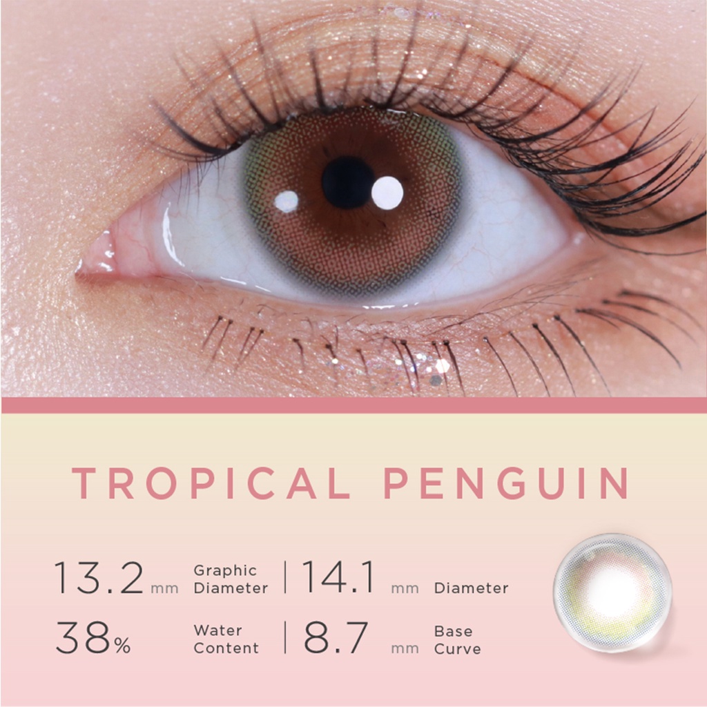 Hộp 2 kính áp tròng Moody phong cách vườn thú Tropical Penguin 14.1mm