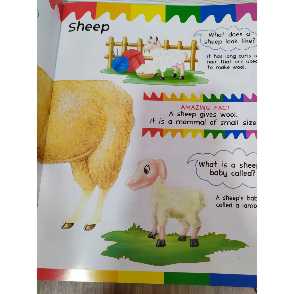 Sách - My First Questions & Answers - Farm Animals - 8935072923204 | BigBuy360 - bigbuy360.vn