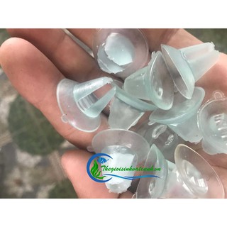 hít kính ngăn hồ cá ( 1 cái )