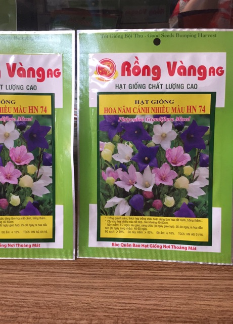 Hạt giống hoa năm cánh nhiều màu- gói 0,2gr