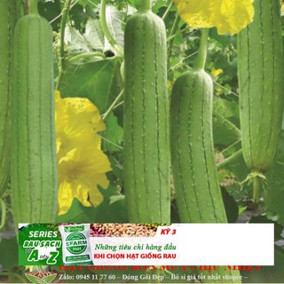 Hạt giống mướp hương 10 hạt
