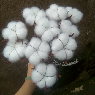 Hoa bông gòn handmade (cotton flower)