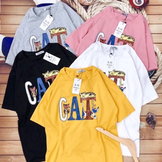 Combo 5 áo thun 170k