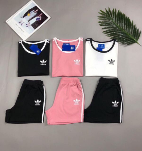 Bộ cotton áo cộc quần đùi | BigBuy360 - bigbuy360.vn