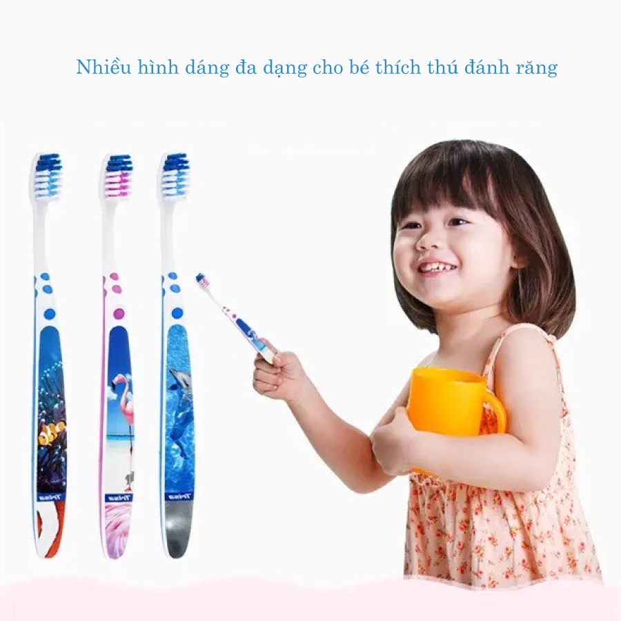 Bàn Chải Đánh Răng Trẻ Em Trisa Young Bàn Chải Dành Cho Bé Từ 6 Tuổi Trở Lên