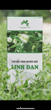 tinh dầu tràm linh đan ( nguyên chất 100%)