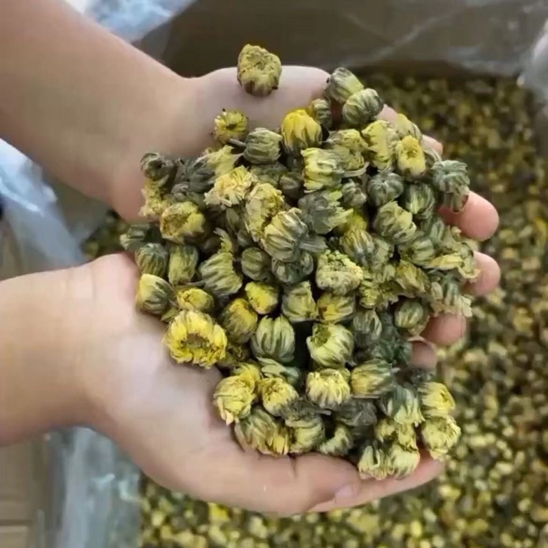 Combo 3kg cúc nụ kim cương