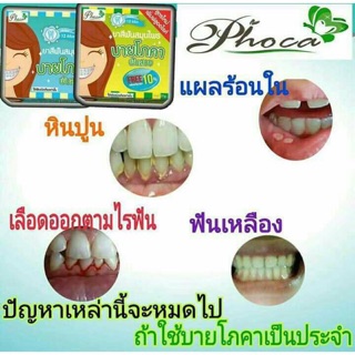 Kem đánh răng thảo dược Phoca Thái Lan Date 2028
