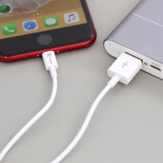 Cap sạc Lightning iphone 5 - 11 pro max