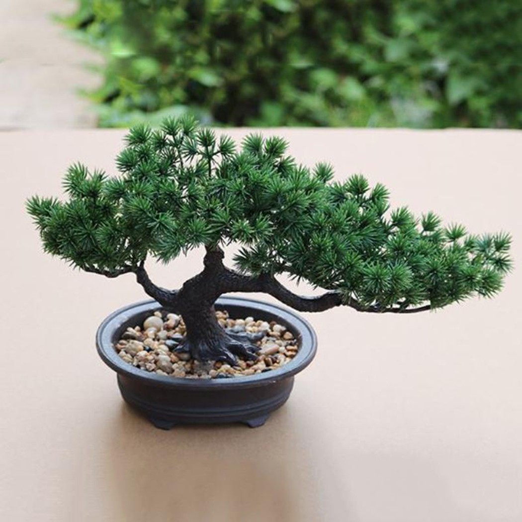 Cây Bonsai Giả Trang Trí Nhà Cửa