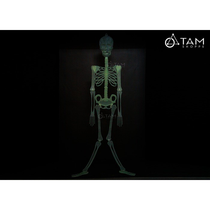 Bộ xương người dạ quang phát sáng trong đêm 3 size
