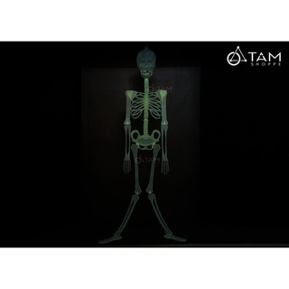 Bộ xương người dạ quang phát sáng trong đêm 3 size