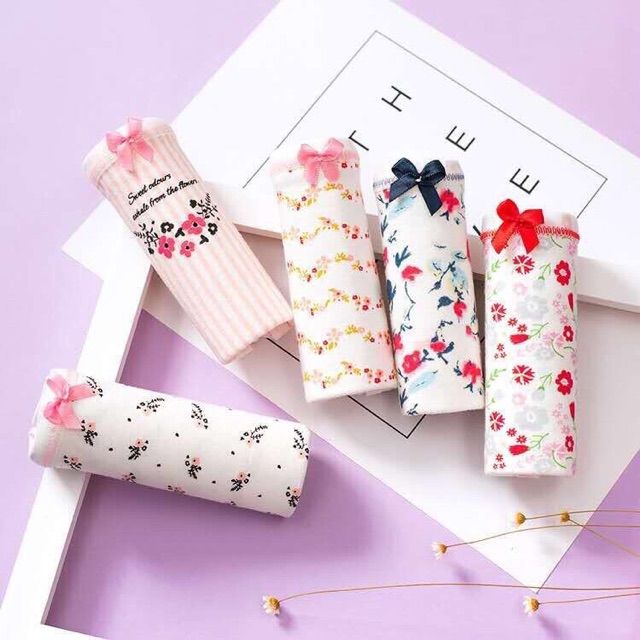 Set 5 Quần Lót Cotton Nữ Cute Cao Cấp Có Túi Zip