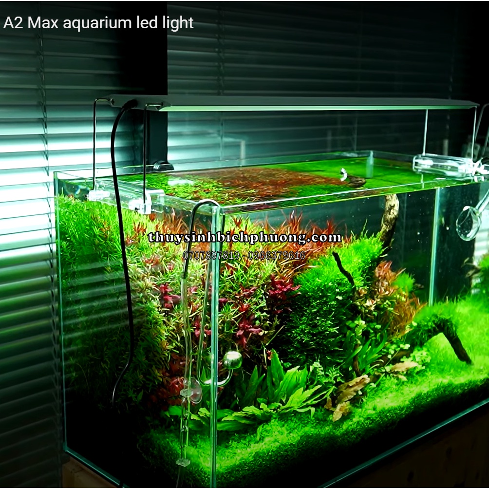 ĐÈN LED CHIHIROS A2 MAX - BẢN NÂNG CẤP MỚI NHẤT 2022 CHUYÊN TRỒNG CÂY THỦY SINH