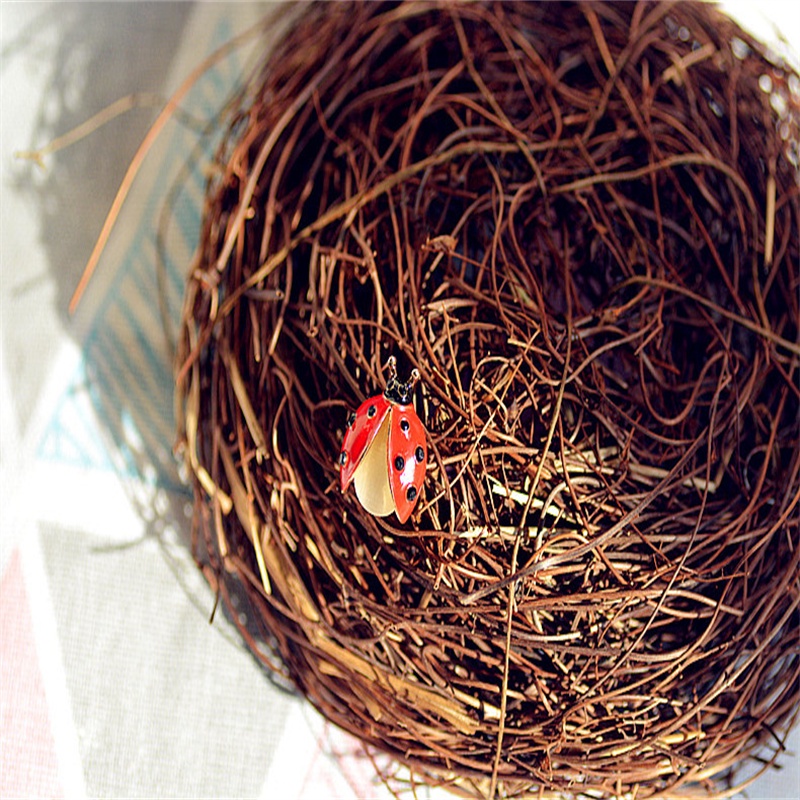 Ghim Cài Áo Hình Bọ Rùa Đính Đá Nhân Tạo Thời Trang Cho Nam Nữ