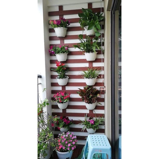 Chậu chảo treo trồng cây hoa kèm dây treo- Chậu treo nhựa trồng dạ yến thảo, hoa cúc rủ đường kính 29cm