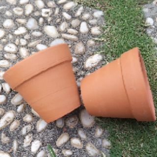 Chậu mini cao trung 8cm×7cm