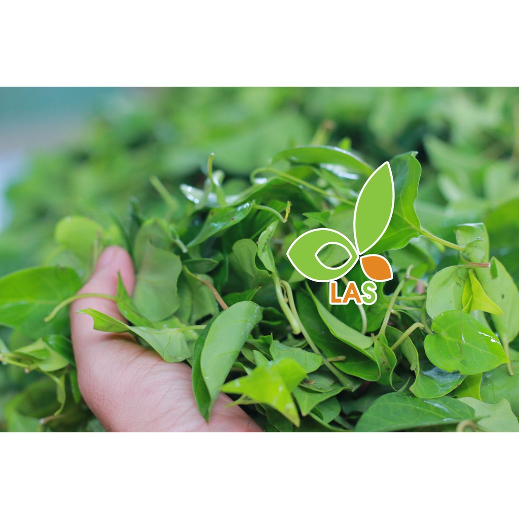 Lá giang khô sấy lạnh, hút chân không gói 200gr, 500gr | LAS Việt Nam