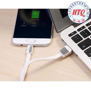Cáp sạc iPhone/iPad Metal Remax RC-044i