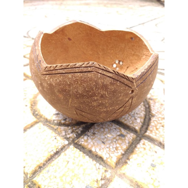 Chậu gáo dừa cắt miệng 5 cánh