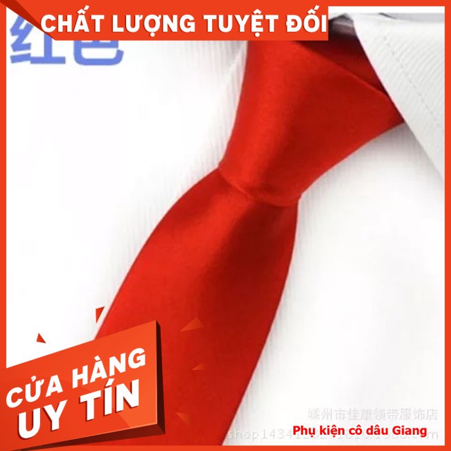 Combo cà vạt nam