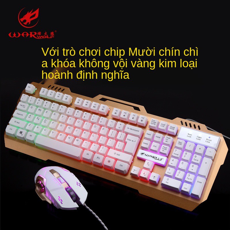 Beacon wolf aggraised metal cf trò chơi chuột có dây thao tác bàn phím máy tính để game và bộ | BigBuy360 - bigbuy360.vn