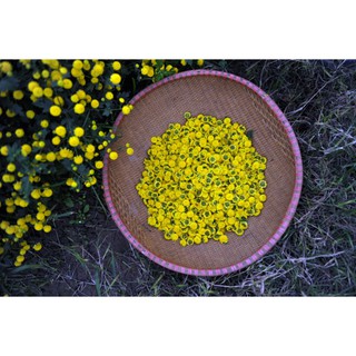 Trà Hoa Cúc Chi Tiến Vua Thu Hương (Hưng Yên) Túi 100g