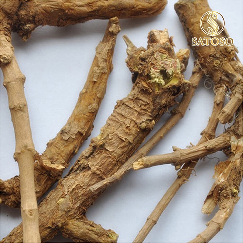 Hoàng đằng khô thượng hạng giúp thanh nhiệt SATOSO 1kg SA61