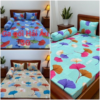 Bộ ga giường/ ra giường 1m6x2m/1m8x2m thun lạnh Hàn Quốc nệm 5- 20cm