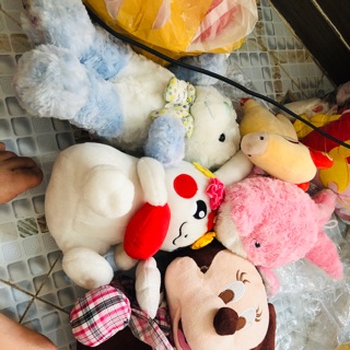 Gấu bông nhi