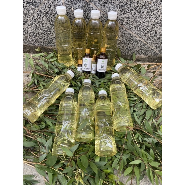 TINH DẦU TRÀM GIÓ NGUYÊN CHẤT • MẸ VUI, BÉ KHOẺ •MAMY GOLD