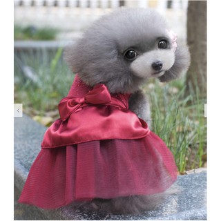 Váy, đầm chó mèo cao cấp