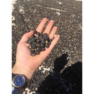 Hạt chuối cô đơn rừng hỗ trợ sỏi thận 1KG