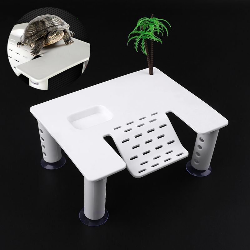Cầu Thang Leo Trèo Có Cốc Hút Dành Cho Bò Sát