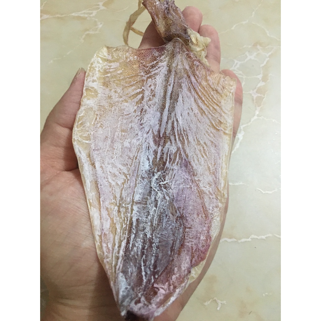 Cực Ngon - 1 Con Mực Khô Câu Vân Đồn, To Bằng Bàn Tay, Y Hình, Khô Mực To Ngon