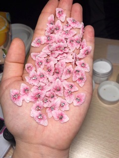 Hoa bột nail (ôm móng cực đẹp ) có nhiều màu khách lựa chọn