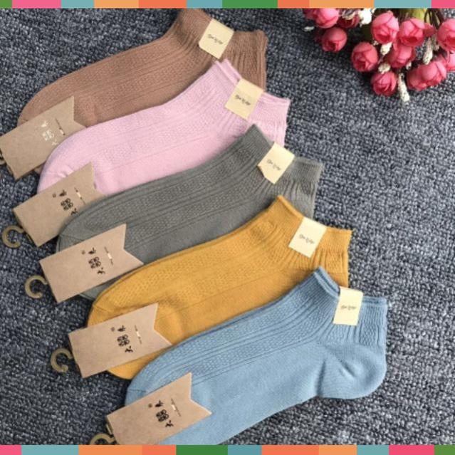 Sỉ 10 đôi tất gân màu