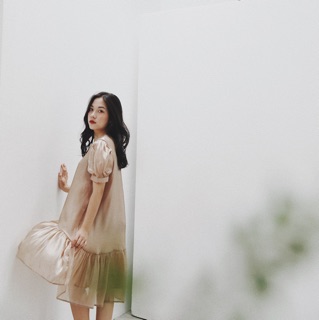 Đầm Organza kính đuôi cá