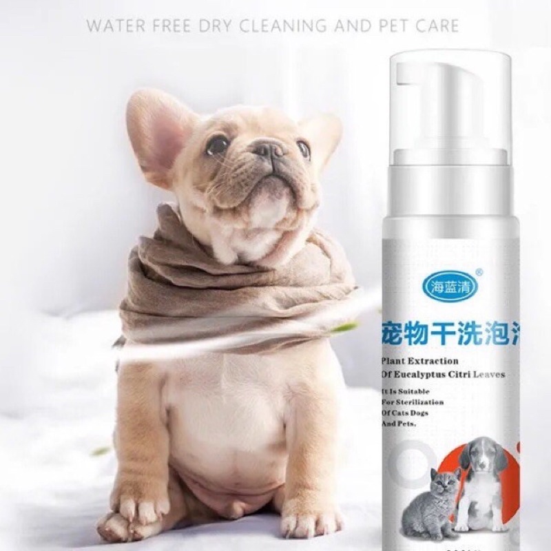 [mua 2 tặng găng tay tắm] bình xịt bọt tắm khô cho chó mèo, lọ tạo bọt tắm khô an toàn cho thú cưng