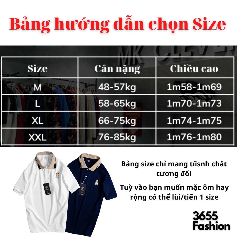 Áo Polo Nam tay ngắn cổ điển thêu gấu teddy, Áo thun chất cotton cá sấu dày dặn mặc thoáng mát, sang trọng