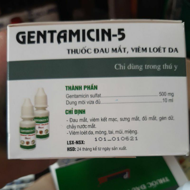 Nhỏ mắt Gentamicin 5