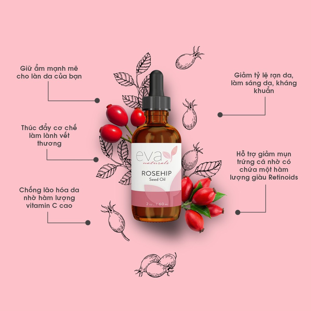Tinh Dầu Nụ Tầm Xuân Eva Naturals Rosehip Seed Oil 60ml | BigBuy360 - bigbuy360.vn